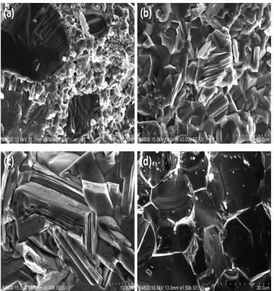 Fig. 8. FE-SEM image of fracture surface of Ti 2 AlC materials with SPS temperature at (a) 1000 o C, (b) 1100 o C, (c) 1200 o C, and (d) 1300 o C.