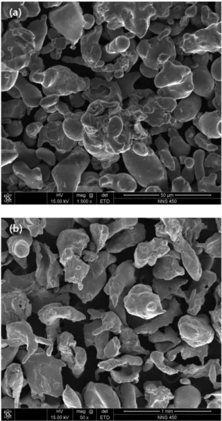 Fig. 1. SEM images of SUS316L powder after classification: