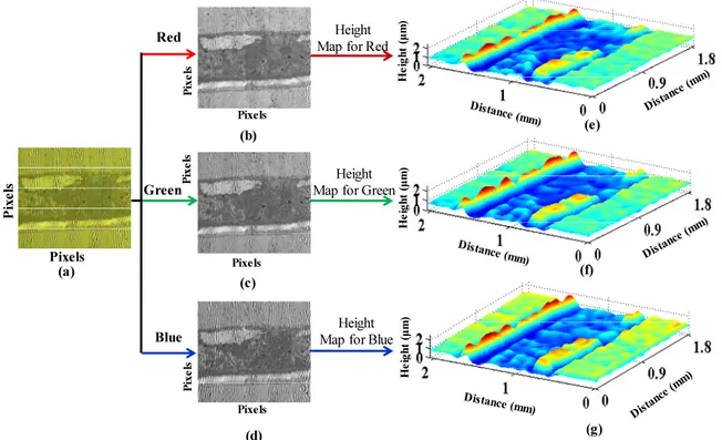 FIG. 10. (a) WLI of Si solar cell using 5X Michelson objectives, (b)-(d) red, green and blue interferograms, respectively and (e)-(f)  corresponding height maps.