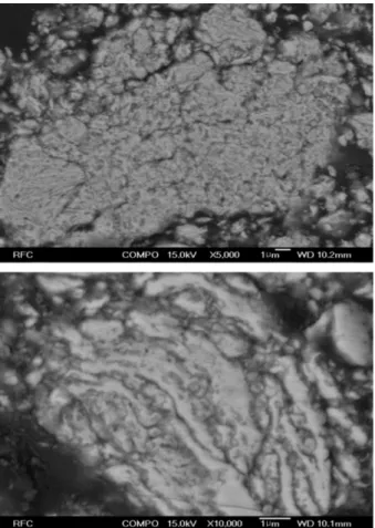 Fig. 13. FE-SEM images of the polished cross-section of (Fe, TiH 2 , C) powder mixture after  in situ reaction synthesis at 1000 o C for 1 h (Back-scattered electron images