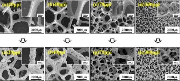 Fig. 5. SEM images at Low (x20) and high (x100) magnification of the type of PU foam (a) 20, (b) 40, (c) 70, and (d) 300 ppi and the coated Cu foam (e) 20, (f) 40, (g) 70, and (h) 300 ppi (pores per inch).