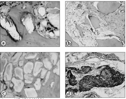 Fig. 6. 24-week after implantation