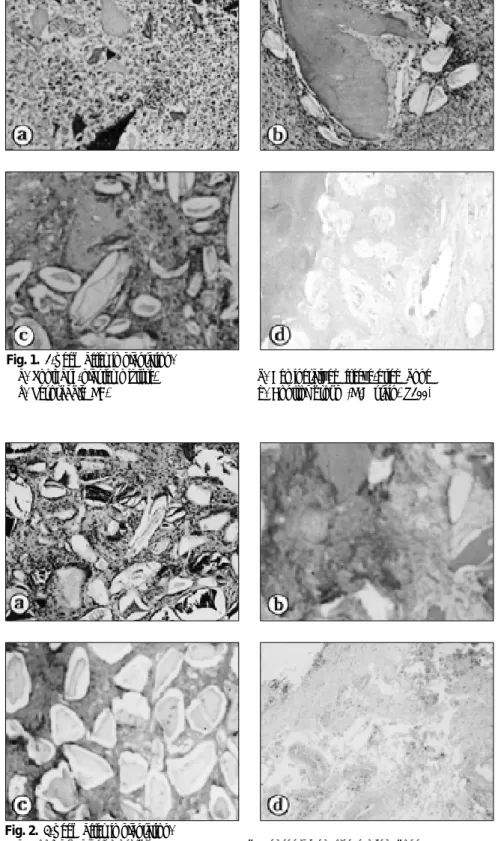 Fig. 2. 3-week after implantation.