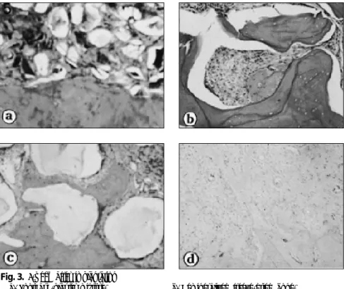 Fig. 3. 5-week after implantation