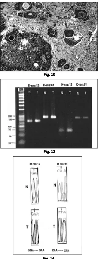 Fig. 9 Fig. 10