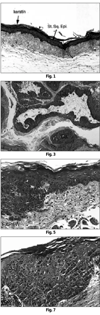 Fig. 3 Fig. 4