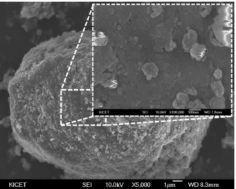 Table 1. The specific surface area of the Si/MgO composite before and after the etching