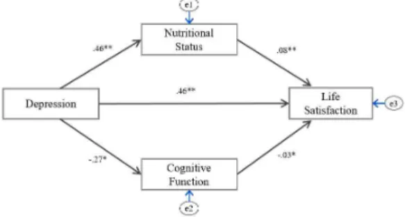 Fig.  2.  Model  of  depression,  nutritional  status,  cognitive  function  and  life  satisfaction  with  parameter  estimates.(* p <.05, 