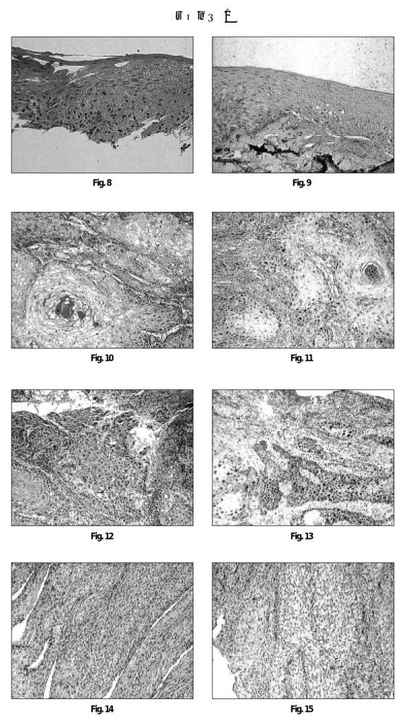 Fig. 8 Fig. 9