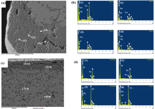 Fig. 9. The oxide layer formed on sintered (a,b)STS 316L, (c,d)STS 304L stainless steel after 210hr exposure at 900 o C in air: