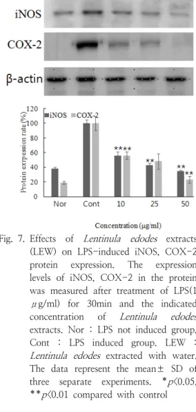 Fig. 7. Effects  of  Lentinula  edodes   extracts  (LEW)  on  LPS-induced  iNOS,  COX-2  protein  expression