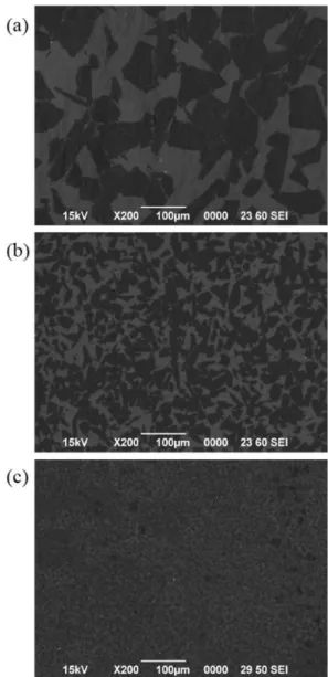 Table 1. Apparent density, phase volume fraction, and phase weight fraction of the RBSC ceramics.
