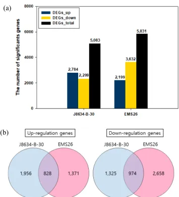 Fig.  3.  GO  term  enrichments  analysis  of  DEGs  induced  by  cold  treatment  in  ‘J8634-B-30’  and  ‘EMS26’