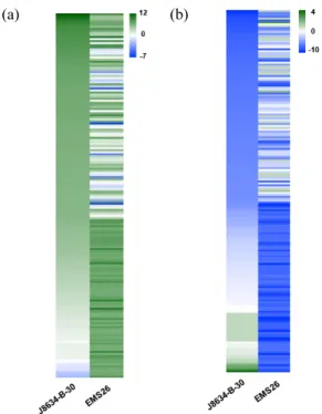 Fig.  4.  Heatmap  analysis  of  Top  100  up-  and  down-regulated  DEGs  in  two  rapeseed  lines