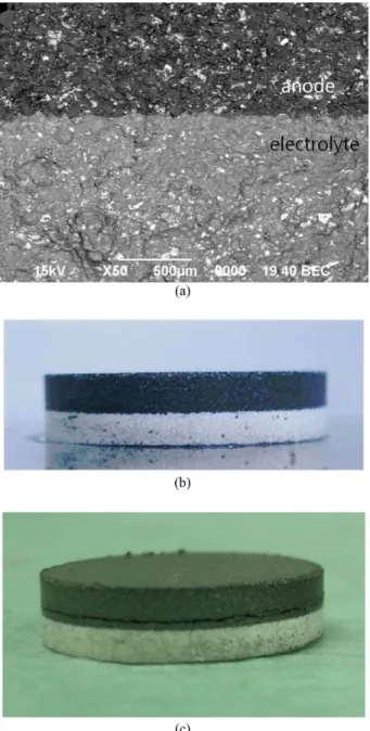 Fig. 7. (a) Microstructure of interface between anode and electrolyte using 75~106  µm Li-Si powder, photos showing well pressed samples (b) without crack using 75~106  µm  Li-Si powder, and (c) with crack developed parallel to the interface after double p