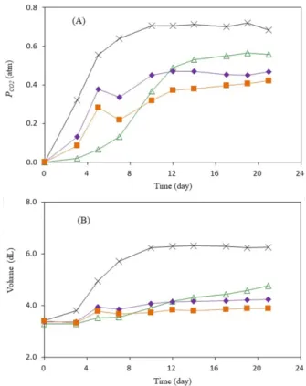 Table 2. CO 2  absorber and SAP in sachet applied for 0.5 kg kimchi package