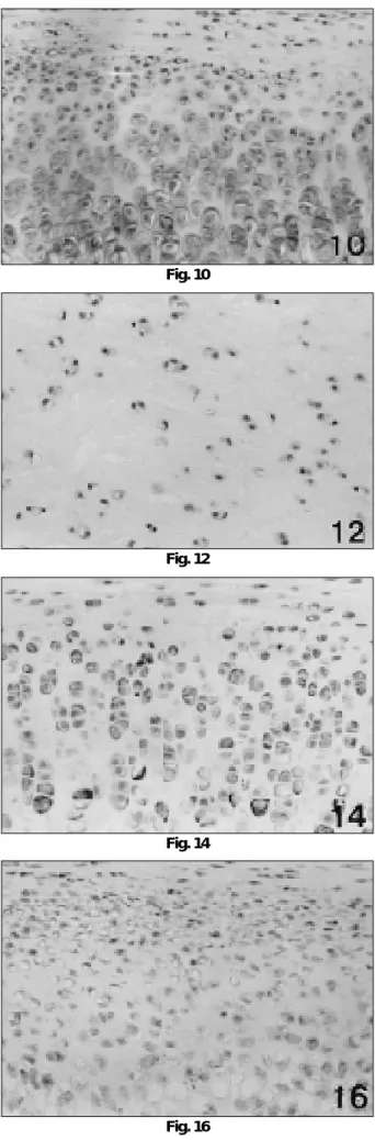 Fig. 9 Fig. 10