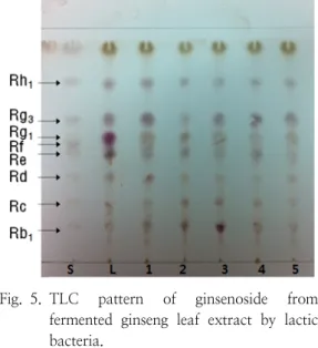 Fig. 5. TLC  pattern  of  ginsenoside  from  fermented  ginseng  leaf  extract  by  lactic  bacteria