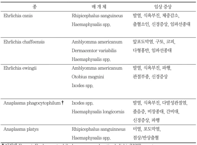 표 1. 개에 감염되는 Ehrlichia와 Anaplasma 종