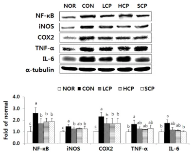 Fig. 3. Effect of collagen peptide of skate skin on inflammatory factors  in  the  hepatic  tissue