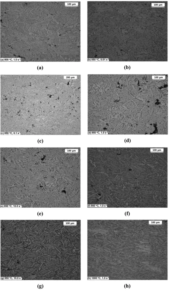 Fig. 10. Microstructures of P/M Ti-6Al-4V specimens deformed at different temperatures and strain rates: (a) 800 o C, 1.0s −1 , (b) 850 o C, 0.001s −1 ,(c) 850 o C, 0.1s −1 ,(d) 850 o C, 1.0s −1 , (e) 850 o C, 10.0s −1 , (f) 950 o C, 1.0s −1 , (g) 950 o C,