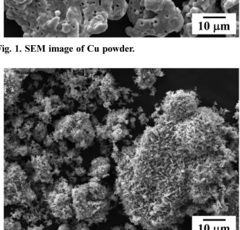 Fig. 2. SEM image of ball-milled and calcined Cu/Cu-nitrate mixture.