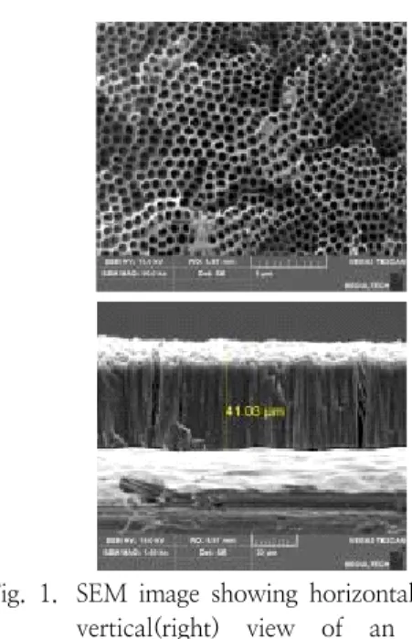 Fig.  1.  SEM  image  showing  horizontal(left)  and  vertical(right)  view  of  an  anodized  TiO 2   nanotubular  layer  on  Ti  plate  in  50,000x  magnification.