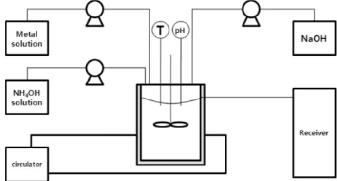 Fig. 1. Schematic diagram of the co-precipitation process.