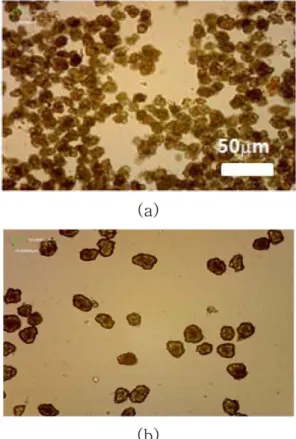 Fig. 3. XRD patterns of the precursors prepared from solution A and B.