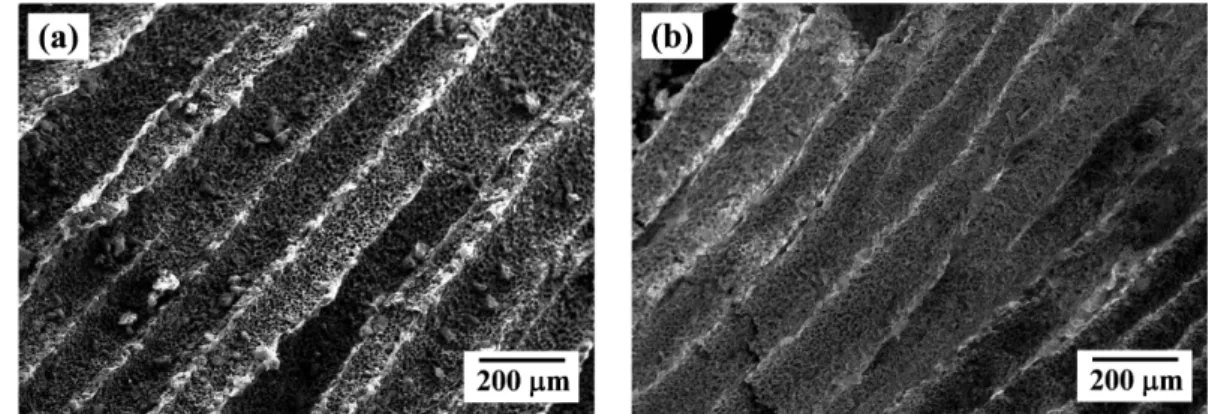 Fig. 1. SEM micrographs for the camphene/10 vol% Al 2 O 3  samples, sintered at (a) 1400 o C and (b) 1500 o C.