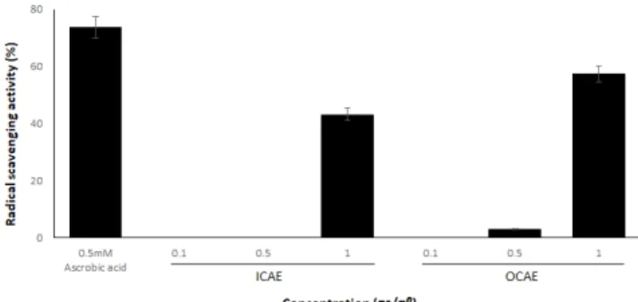 Fig. 1. The DPPH radical scavenging activity of  Arthrospira platensis  under various cultivation