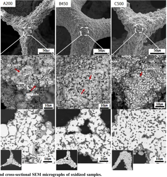 Fig. 10. EDS mapping analysis results of oxidized samples.