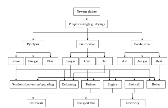 Fig.  2.  Potential  applications  of  thermochemical  conversion  of  sewage  sludge.