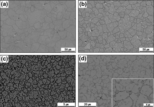 Fig. 6. SEM micrographs of pure nickel ((a) and (b)) and Ni/NiO ((c) and (d)) powder compacts sintered at 750 o C ((a) and (c)) and 1000 o C ((b) and (d)) for 1 hour in wet 99.93N 2 -0.07H 2 