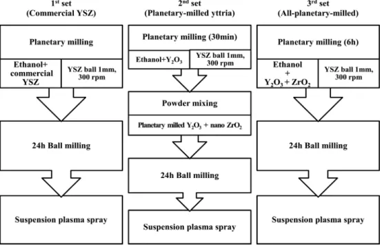 Fig. 1. A schematic of suspension preparation. 