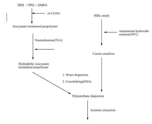 Fig.  1  Reaction  schematic  diagram  of  anionic  polyurethane  dispersion  with  casein.