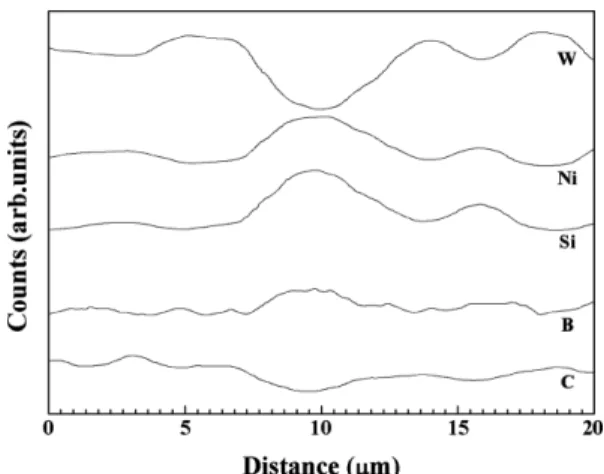 Fig. 5. EPMA analysis of sintered WC/Ni-Si-1.2 wt.% B 4 C.