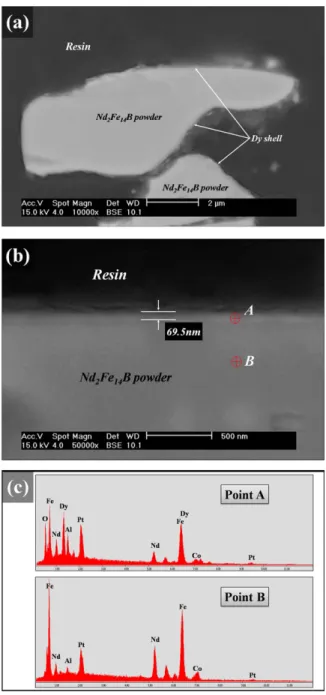 Fig. 3 shows SEM (BSE) images of the sintered pow- pow-der with different Dy contents