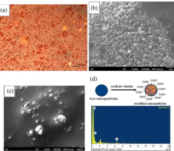 Fig. 3. The optical microscope and FESEM of Fe 3 O 4  nanopar- nanopar-ticles: (a) the bare initial solution particles, (b) and (c) separately Fe 3 O 4  nanoparticles coated with oleate sodium on carbon tape, (d) EDX spectrum nanoparticles coated with olea