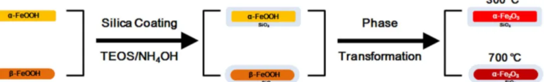 Fig. 1. Schematic diagram of the color evolution and phase transformation of silica-coated  α-FeOOH and silica-coated β- β-FeOOH.