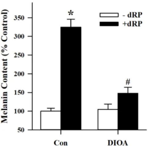 Fig. 4. Role of KCC in the dRP-induced melanogenesis in B16 melanoma cells. In the data, quantitative changes in melanin contents are expressed as a percentage of control condition in which cells were grown in medium without dRP
