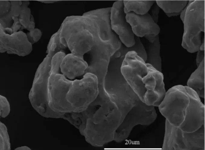Fig. 1. Typical SEM image of the powders produced by reduction-diffusion reaction.
