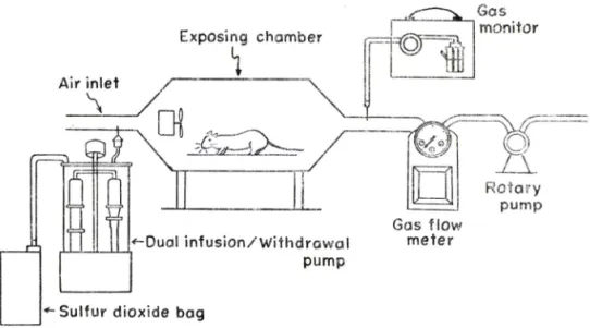 Fig.  2  와  같은  s a 를  하여  gas  의  « g 와  을  토이  특하며  a ® 시 켰 다 •