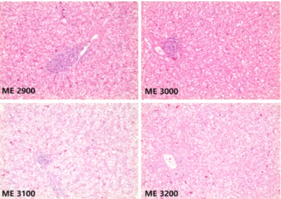 Fig.  1.  Histology  of  the  liver  according  to  the  levels  of  metabolizable  energy  (ME)  in  meat  ducks  under  heat  stress  (22-42  days)