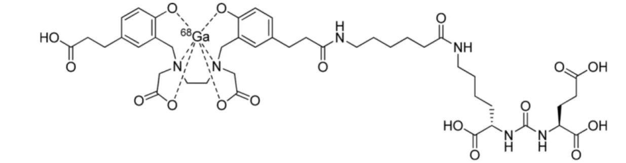 Fig. 2. Structure of [ 64 Cu]Cu-Detectnet.