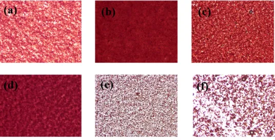 Fig.  5.  DLS  of  lycopene  suspension  after  ball-milling  (a)  before  ball-milling,                      (b)  after  ball-milling