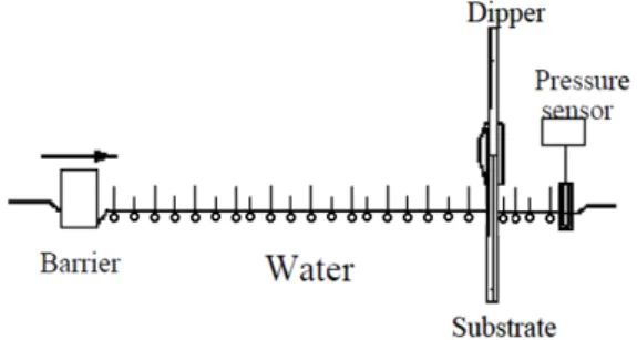 Fig.  2.  Schematic  diagram  of  the  experimental  setup  used  for  the  present  study.