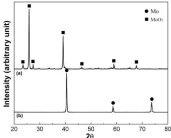 Fig. 5. XRD patterns of (a) the initial MoO 3  powder and (b) hydrogen-reduced Mo powder.