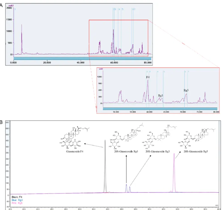 Table 5. Relative concentration of ginsenosides in SGF