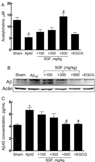 Fig. 7. Effects of SGF on the brain lysates from A β42-challenged mice.  (A) acetylcholine concentration, (B) Western blot analysis of the brain A β proteins, (C) ELISA analysis of the brain Aβ proteins.